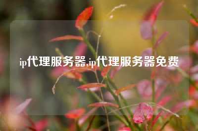 ip代理服务器,ip代理服务器免费
