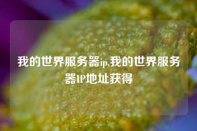我的世界服务器ip,我的世界服务器IP地址获得