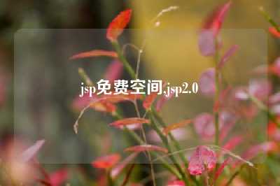jsp免费空间,jsp2.0