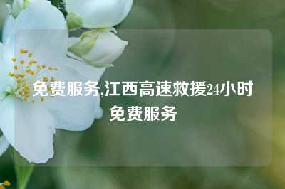 免费服务,江西高速救援24小时免费服务