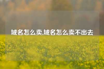 域名怎么卖,域名怎么卖不出去