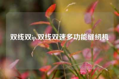 双线双ip,双线双速多功能缝纫机