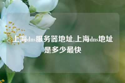 上海dns服务器地址,上海dns地址是多少最快