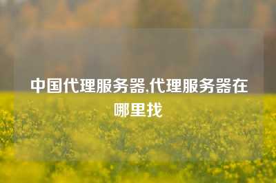 中国代理服务器,代理服务器在哪里找