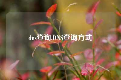 dns查询,DNS查询方式