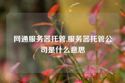 网通服务器托管,服务器托管公司是什么意思