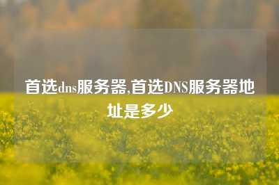 首选dns服务器,首选DNS服务器地址是多少