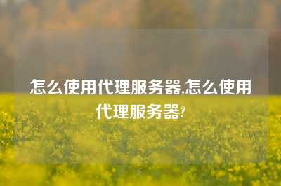 怎么使用代理服务器,怎么使用代理服务器?