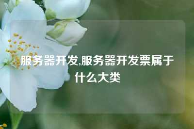 服务器开发,服务器开发票属于什么大类
