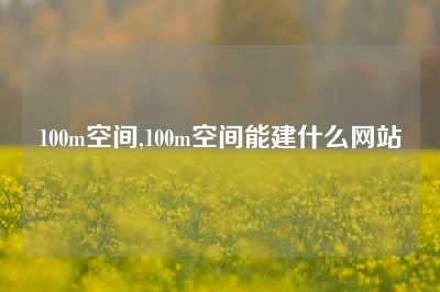 100m空间,100m空间能建什么网站