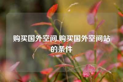 购买国外空间,购买国外空间站的条件