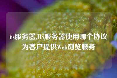 iis服务器,IIS服务器使用哪个协议为客户提供Web浏览服务