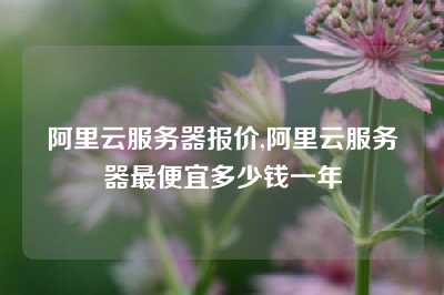 阿里云服务器报价,阿里云服务器最便宜多少钱一年