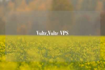 Vultr,Vultr VPS
