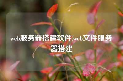 web服务器搭建软件,web文件服务器搭建