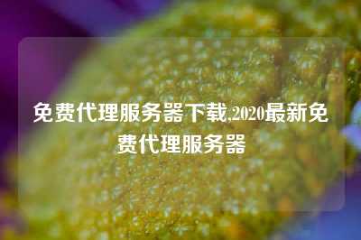 免费代理服务器下载,2020最新免费代理服务器