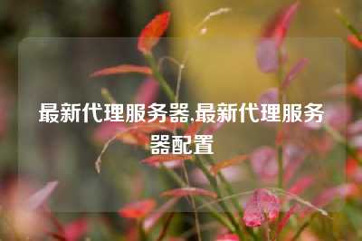 最新代理服务器,最新代理服务器配置