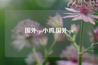 国外vps小鸡,国外vps
