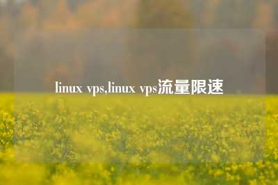 linux vps,linux vps流量限速