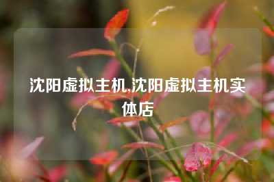 沈阳虚拟主机,沈阳虚拟主机实体店