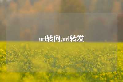 url转向,url转发