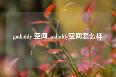 godaddy 空间,godaddy空间怎么样