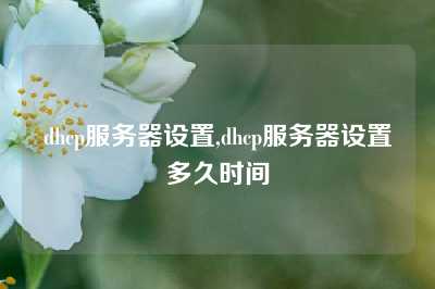 dhcp服务器设置,dhcp服务器设置多久时间