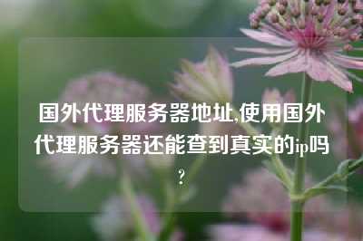 国外代理服务器地址,使用国外代理服务器还能查到真实的ip吗?
