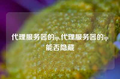 代理服务器的ip,代理服务器的ip能否隐藏