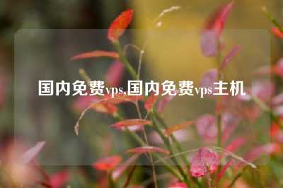 国内免费vps,国内免费vps主机