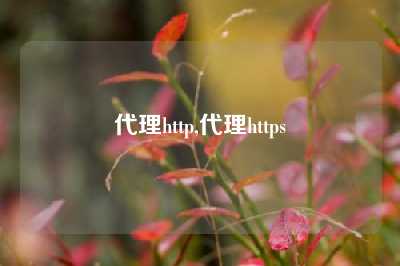 代理http,代理https