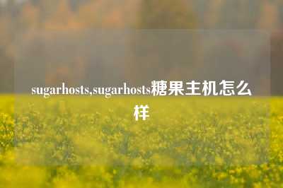 sugarhosts,sugarhosts糖果主机怎么样