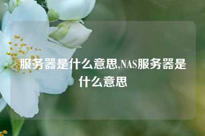 服务器是什么意思,NAS服务器是什么意思