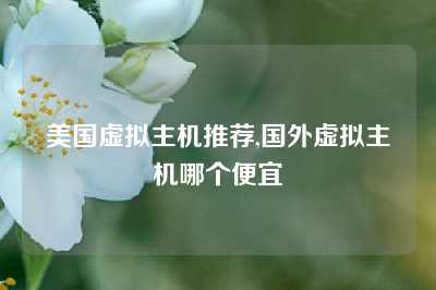 美国虚拟主机推荐,国外虚拟主机哪个便宜