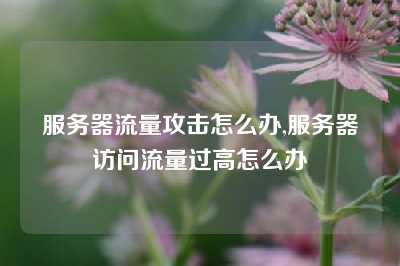 服务器流量攻击怎么办,服务器访问流量过高怎么办