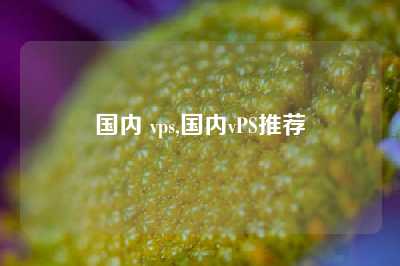 国内 vps,国内vPS推荐