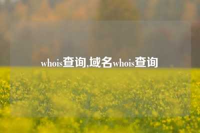 whois查询,域名whois查询