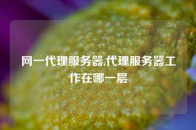 网一代理服务器,代理服务器工作在哪一层