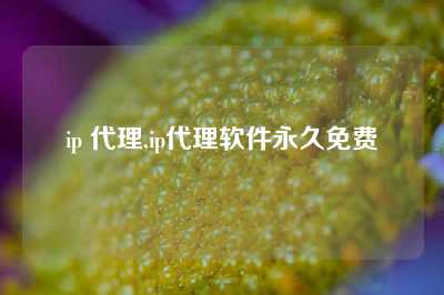 ip 代理,ip代理软件永久免费