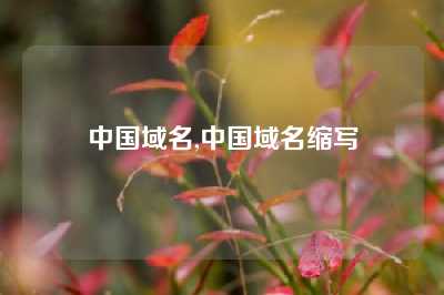 中国域名,中国域名缩写