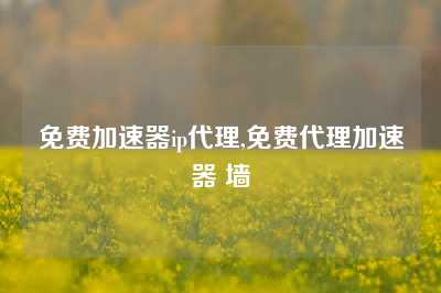 免费加速器ip代理,免费代理加速器 墙