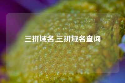 三拼域名,三拼域名查询