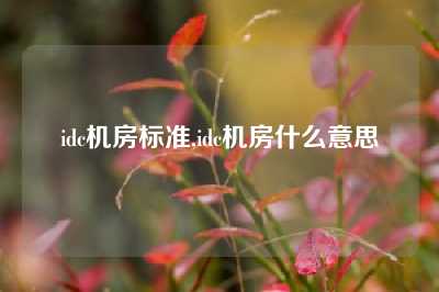 idc机房标准,idc机房什么意思