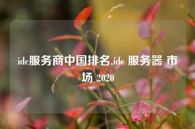 idc服务商中国排名,idc 服务器 市场 2020