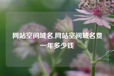 网站空间域名,网站空间域名费一年多少钱