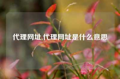 代理网址,代理网址是什么意思