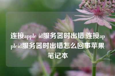 连接apple id服务器时出错,连接appleid服务器时出错怎么回事苹果笔记本