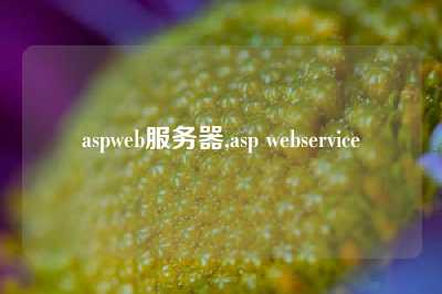 aspweb服务器,asp webservice