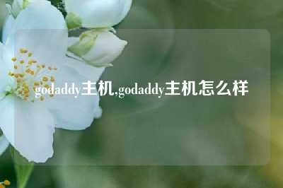 godaddy主机,godaddy主机怎么样