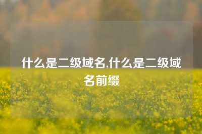 什么是二级域名,什么是二级域名前缀